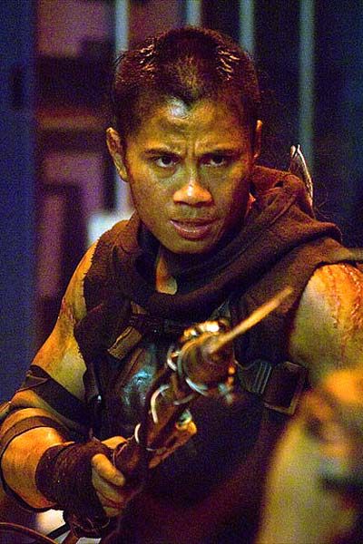 cung le