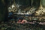 photo du film pandorum 1
