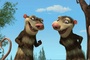 crash et eddie