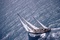 pen duik voilier - Tabarly