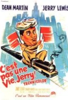 Affiche miniature du film C'est pas une vie, Jerry !