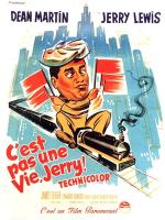 Affiche du film C'est pas une vie, Jerry !