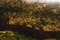 la ville de dastan