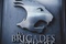 affiche 2 du film les brigades du tigre
