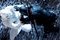 storm shadow vs snake eyes