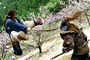 jackie chan se battant