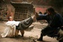 jet li se battant avec jackie chan