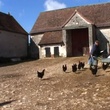 ferme - Yvette bon Dieu !