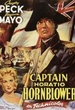 Capitaine sans peur 