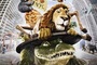 Affiche du film The Wild (2006)