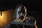 dave legeno - Bienvenue au cottage