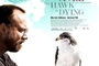 Affiche du film The Hawk is Dying - Dressé pour vivre
