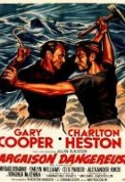 Affiche miniature du film Cargaison dangereuse