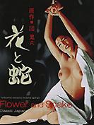 Affiche du film Fleur secrète