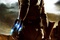 Affiche du film Cowboys et Aliens 