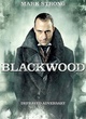 affiche 3 du film sherlock holmes
