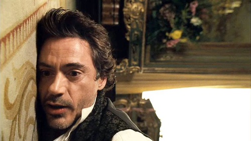 robert downey jr a terre