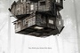 Affiche du film Cabin in the Woods 
