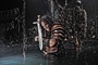jason-momoa-6-jpg