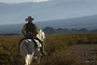 jean dujardin alias lucky luke