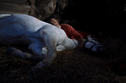 jean dujardin et jolly jumper