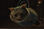 chat de Alice au pays des merveilles