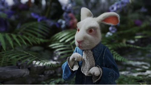 le lapin blanc Alice