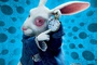 le lapin blanc en affiche