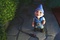 gnomeo