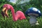 un flamant rose