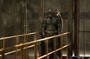 batman-selena-png