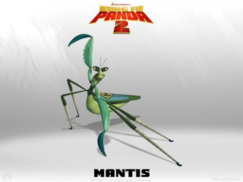 photo promotionnelle mante