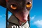affiche teaser
