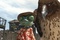 rango et un aigle