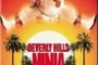 Affiche du film Le ninja de Beverly Hills