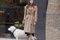 keira knightley promenant son chien