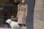 keira knightley promenant son chien