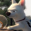 Rhino