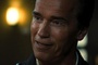 arnold schwarzenegger