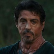 l acteur sylvester stallone