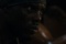 terry crews