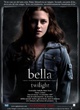 affiche 1 - Twilight - Chapitre 1 : Fascination