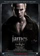 affiche 2 - Twilight - Chapitre 1 : Fascination