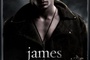 affiche 2 - Twilight - Chapitre 1 : Fascination