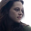 image 10 - Twilight - Chapitre 1 : Fascination