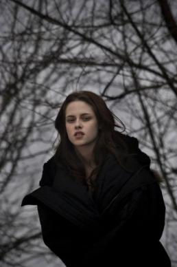 image 11 - Twilight - Chapitre 1 : Fascination