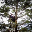 image 12 - Twilight - Chapitre 1 : Fascination