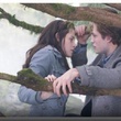 image 21 - Twilight - Chapitre 1 : Fascination