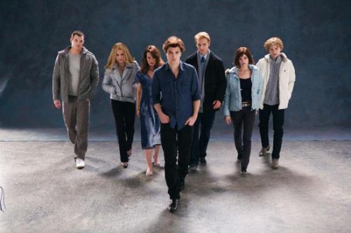 image 2 - Twilight - Chapitre 1 : Fascination