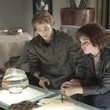 image 31 - Twilight - Chapitre 1 : Fascination